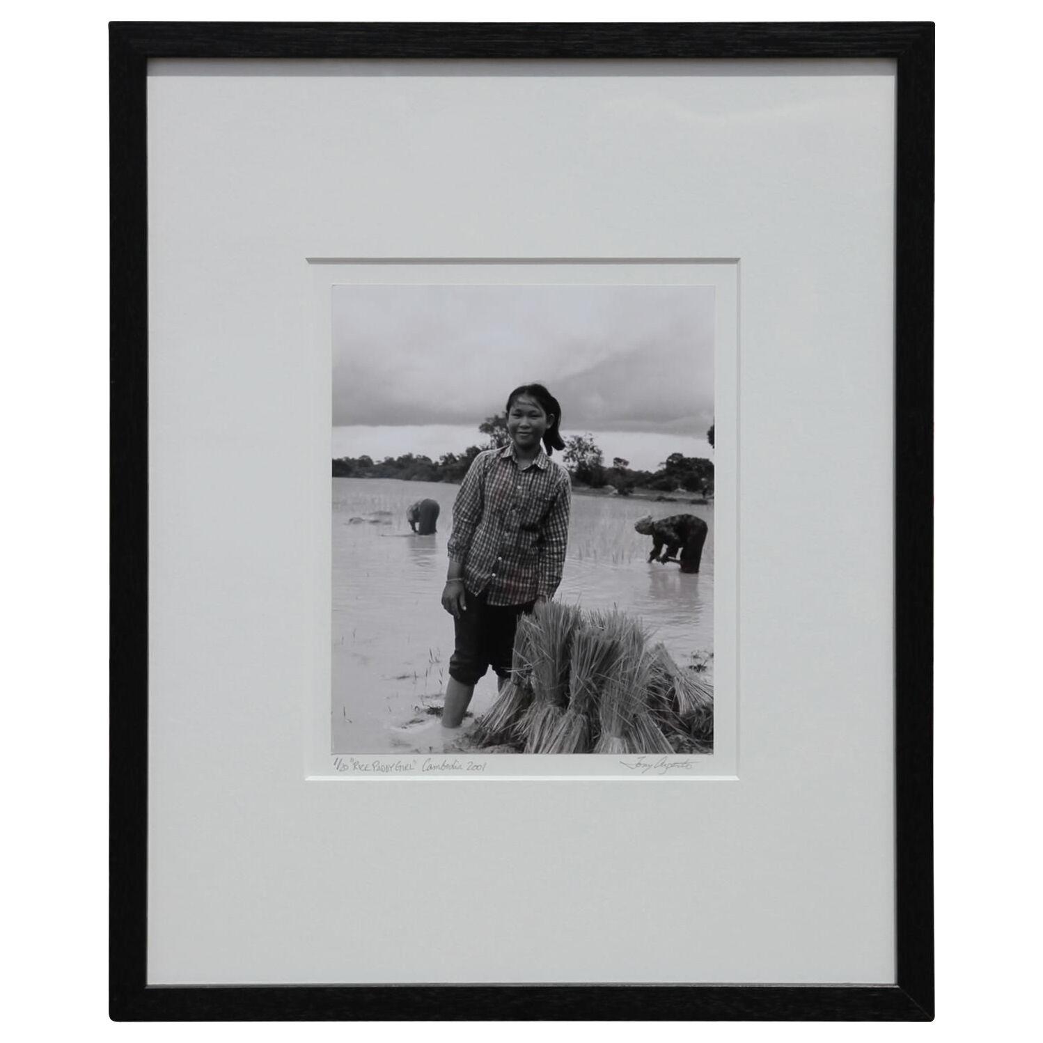 "Rice Paddy Girl" Siem Reap, Cambodia Black White Photograph Early 21st Century