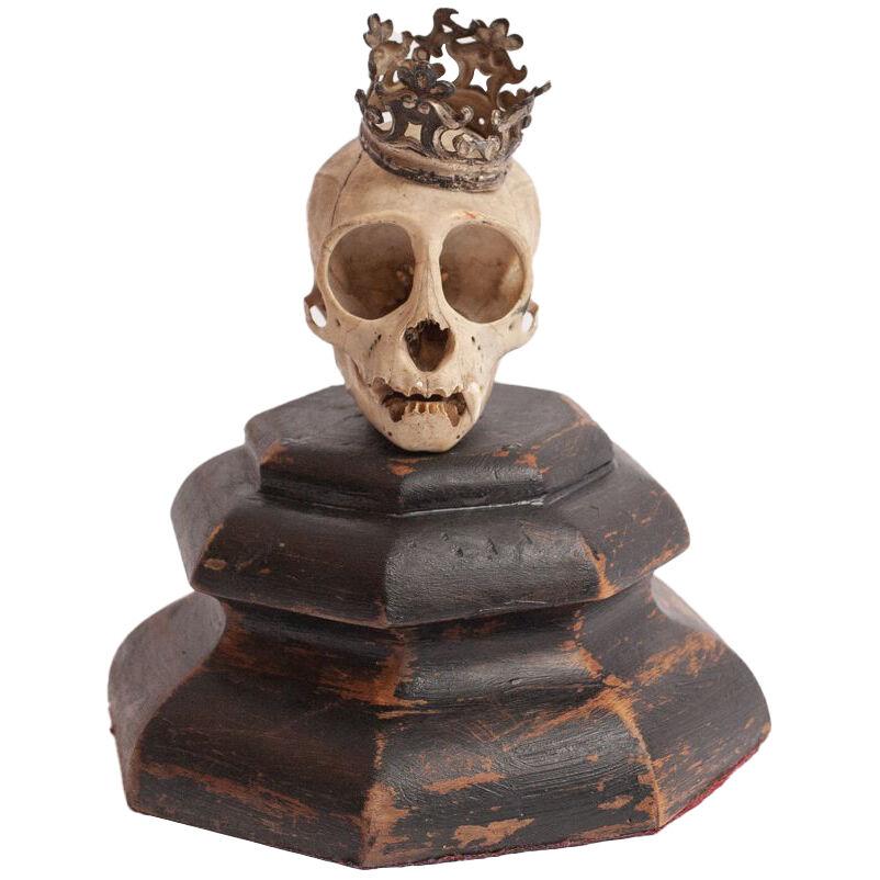 Crowned Monkey Skull on Plinth