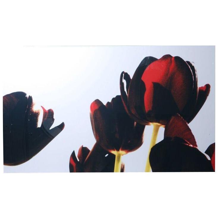 Renato Freitas, Black Tulips, Original Photography
