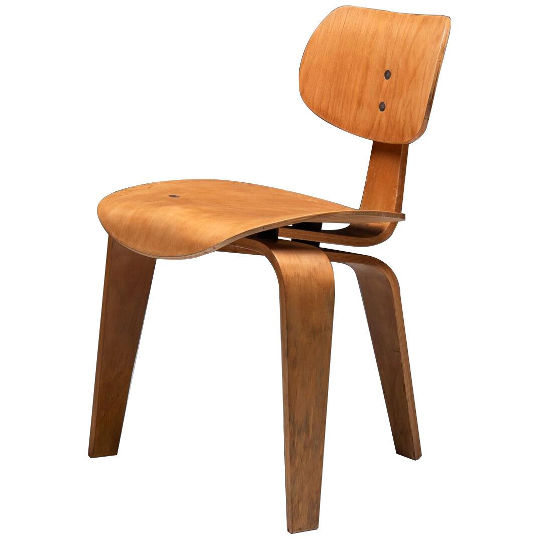 Chair 'SE42', Egon Eiermann for Wilde & Spieth, 1940s