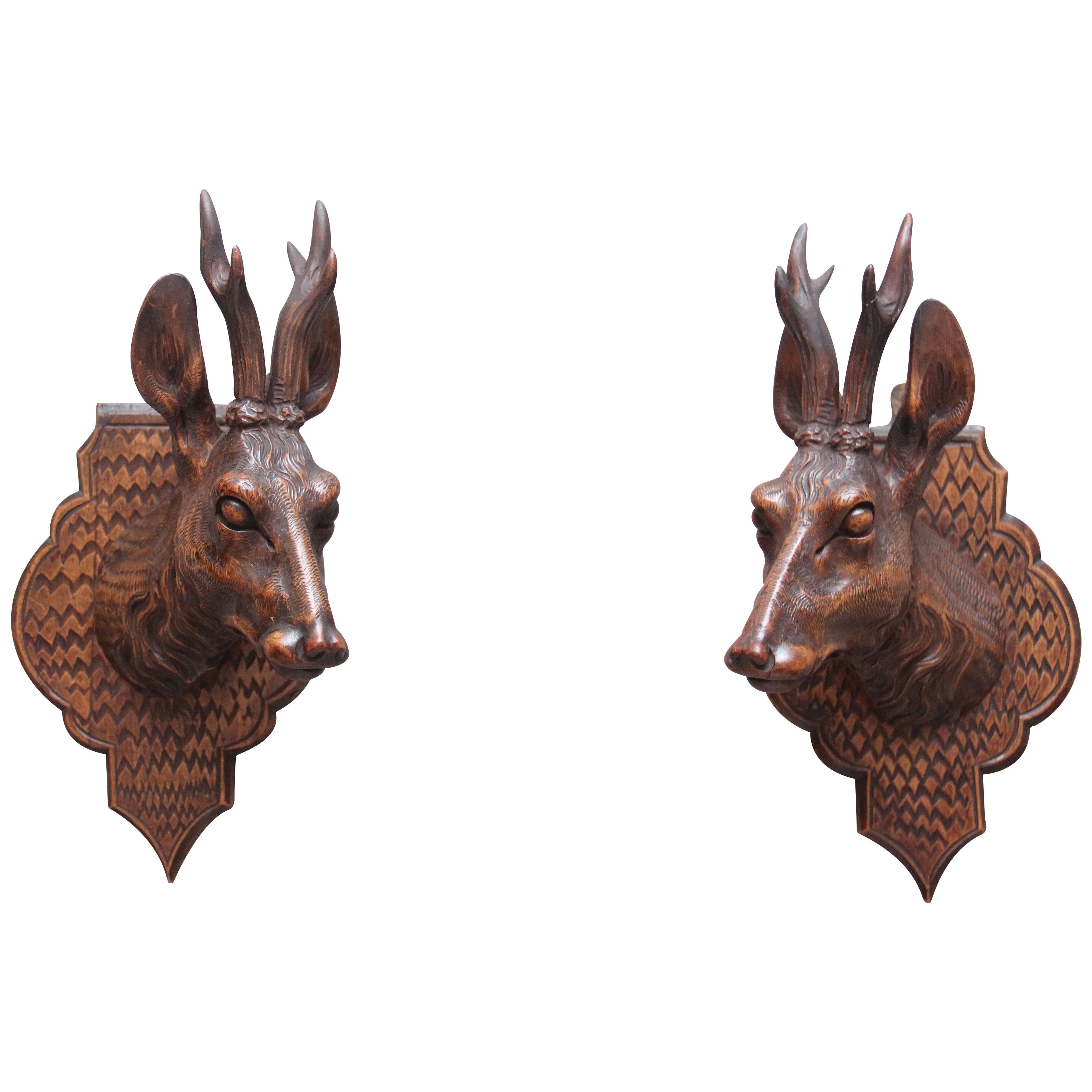 A pair of decorative 19th Century carved walnut black forest deer heads