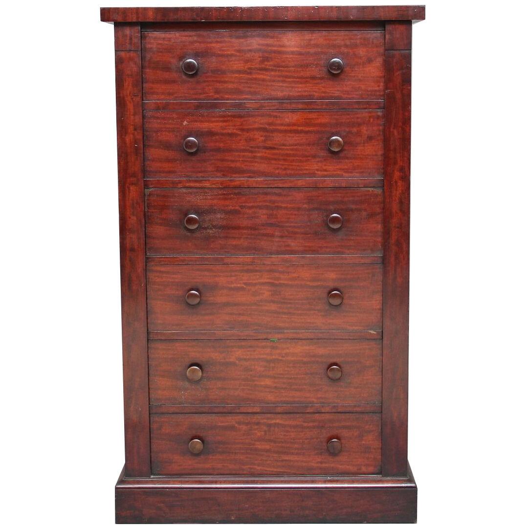 19th Century mahogany Wellington chest