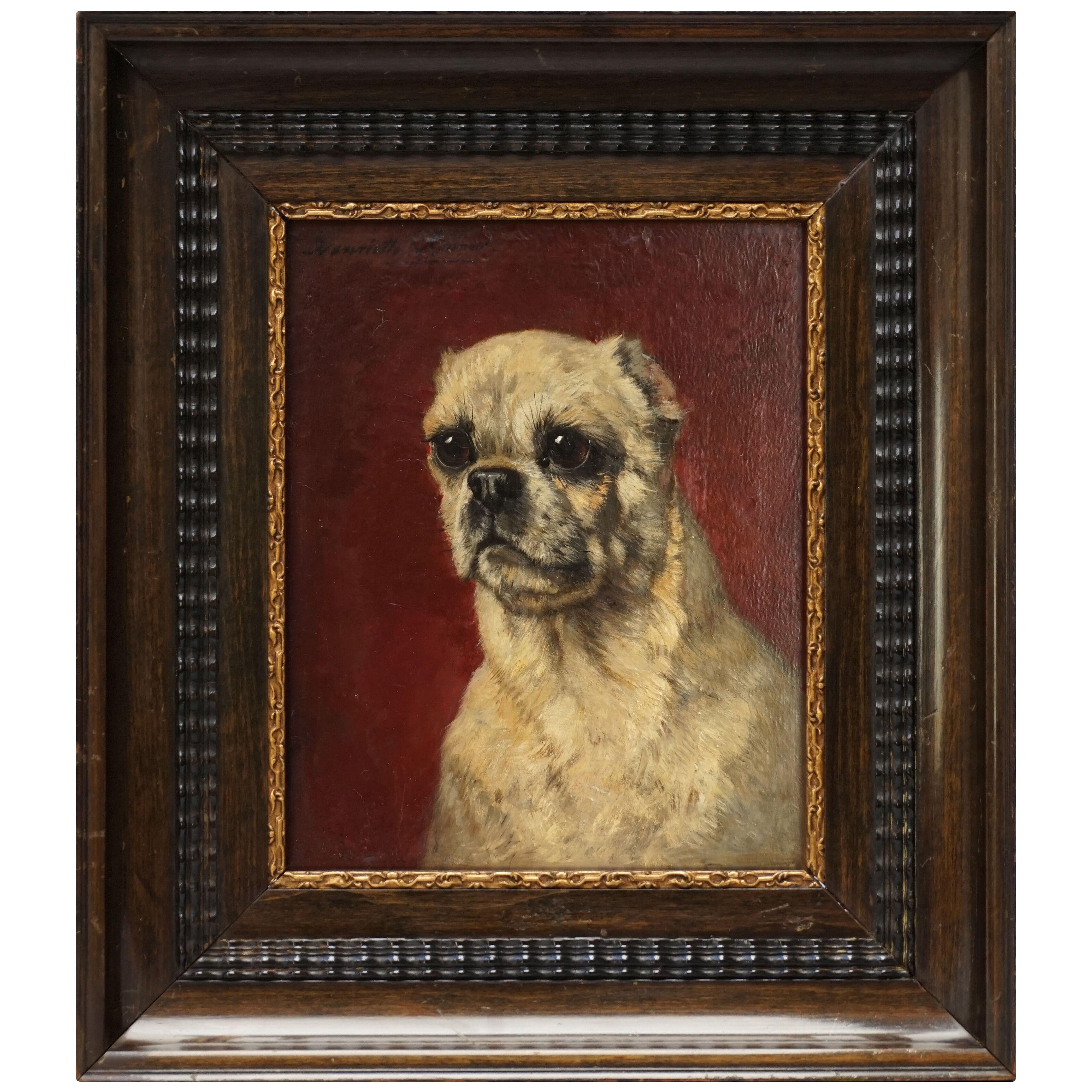 19th Century Oil Painting of a Pug Dog by Henriëtte Ronner Knip on Wooden Panel
