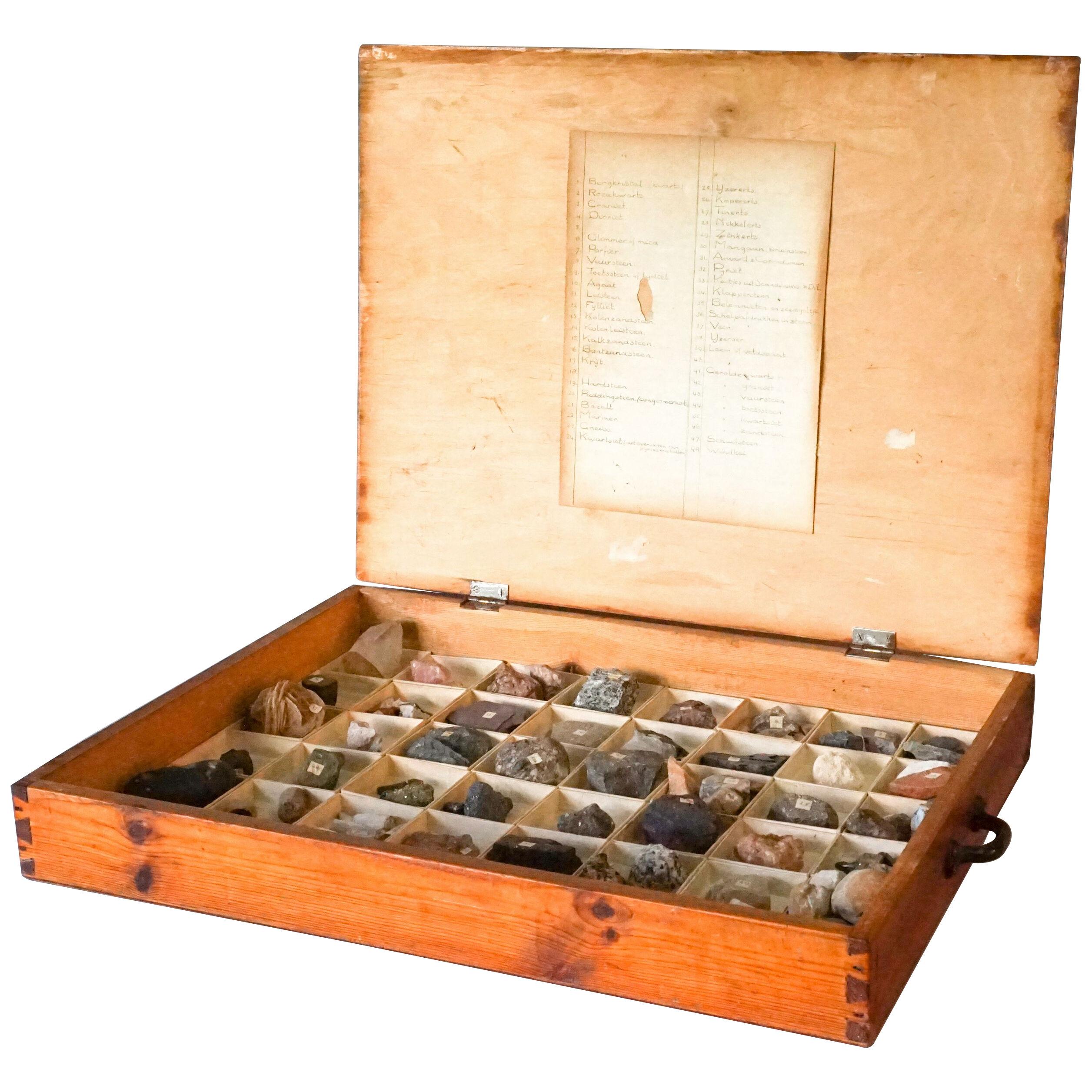 Dutch 1920s Large Study Case with Collection of 48 Minerals and Rocks Specimens