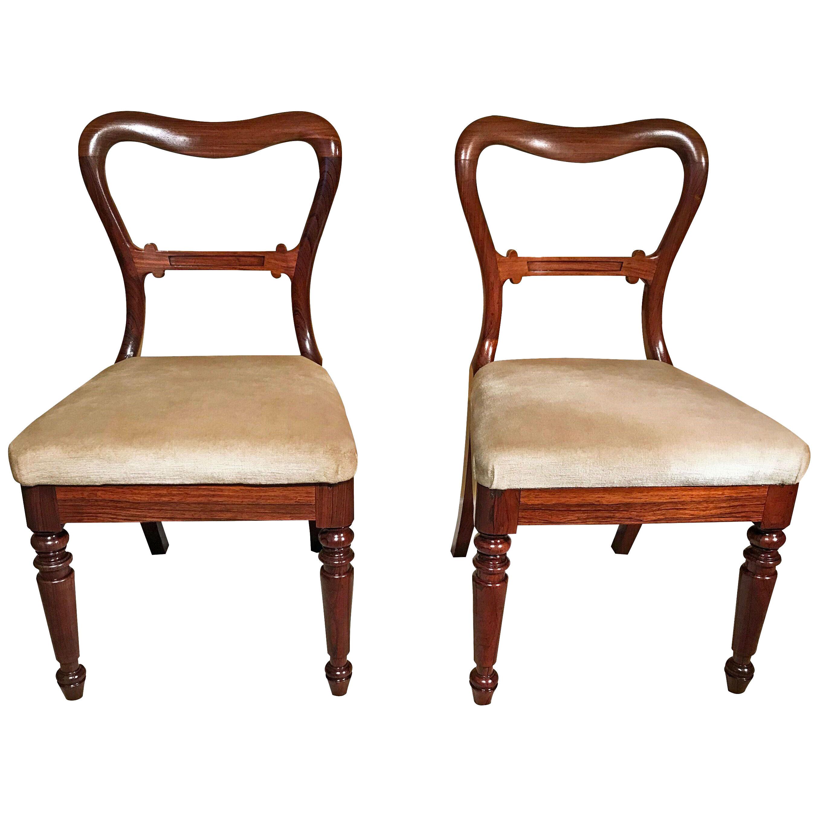 Pair of George IV Period Rosewood Chairs by Gillows of Lancaster